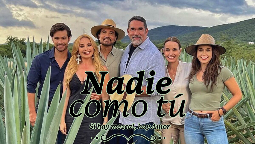 Nadie Como Tu Capitulo 67 Completo En HD